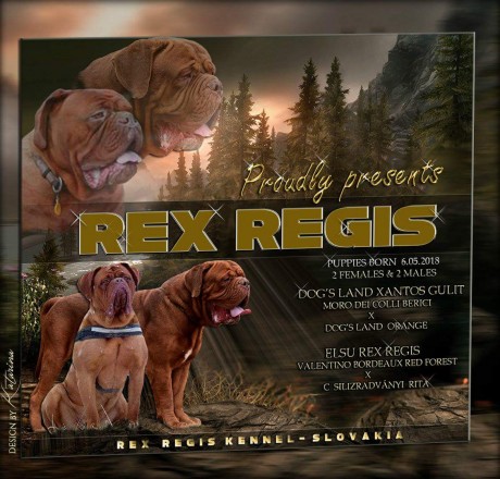 received_10213744787687194